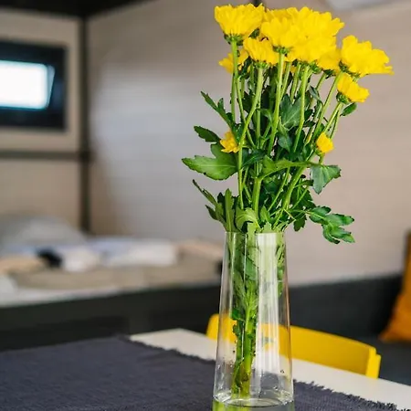 Hedera Holiday home Sovata